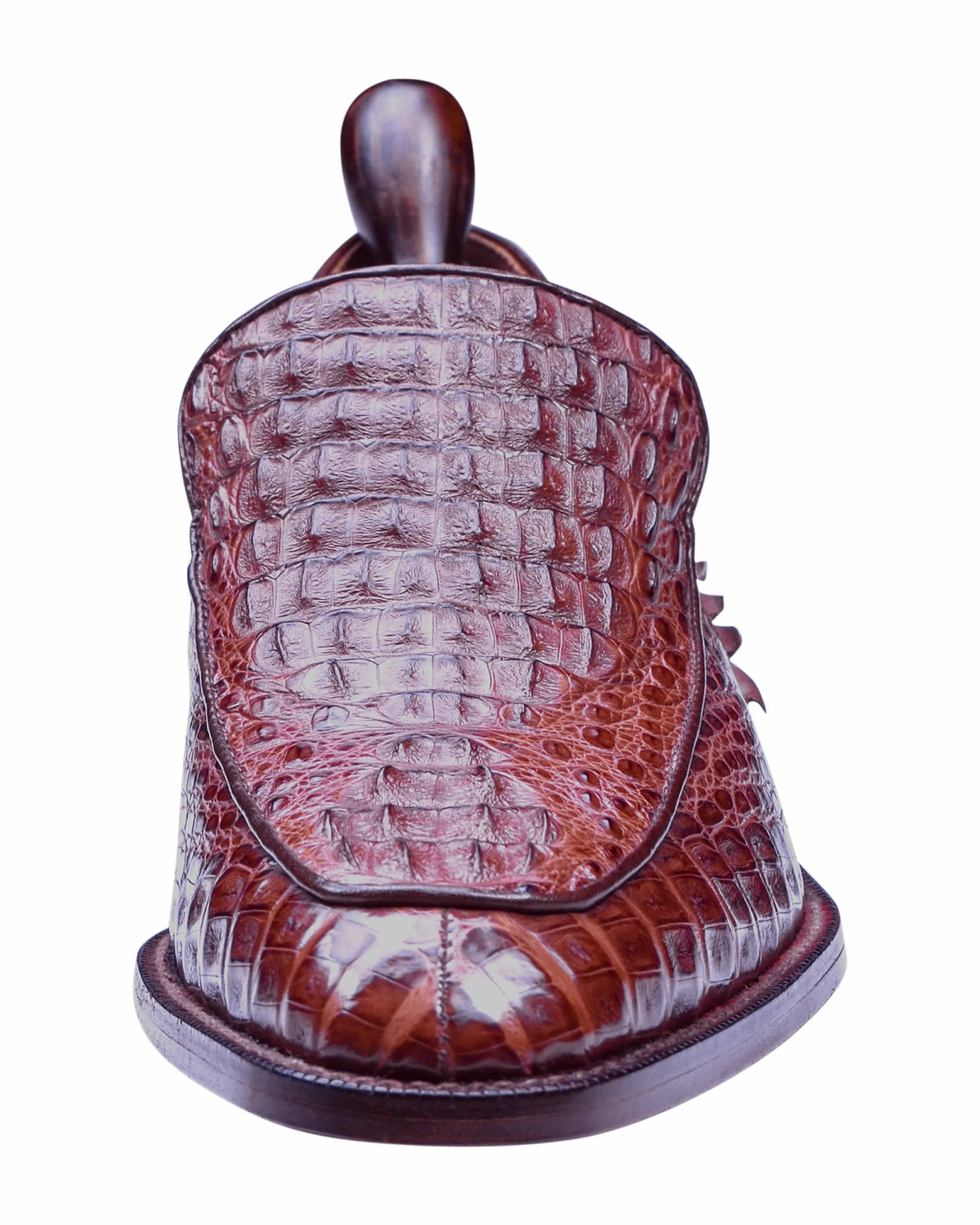 crocodile-1-1.jpg